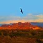 Picture for song 'FLY WITH ME' by artist 'ALPHA ONE OMEGA'