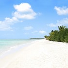 Picture for song 'Aloa-P (AmR Remix)' by artist 'AmR (US)'