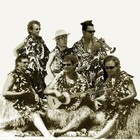 Picture for song 'il re dalla costa' by artist 'animalunae'