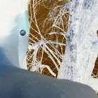 Picture for song 'do you feel like goin' on' by artist 'arachnosonic'
