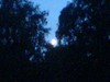 Picture for song 'Moongoddess' by artist 'Artytou'