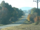 Picture for song 'Roads Home' by artist 'Riley Austin'