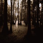 Picture for song 'Unprocessed Thoughts2' by artist 'Avon Terra'