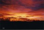 Picture for song 'FIRE IN THE SKY' by artist 'Axe Victims'