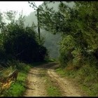 Picture for song 'No Roads (Prod. Axis Beats) 68.5 bpm' by artist 'Axis Beats (US)'