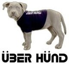 Picture for song 'Rör Inte Min Hund' by artist 'Baby I'm A Dying Kaskelott'