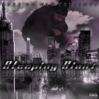 Picture for song '01 INTRO - PRODUCED BY LOONEYMAN SLAYEDIT' by artist 'BAKEAHMAN'