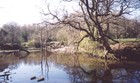 Picture for song 'Kingfisher (feat. Pixi)' by artist 'Steve Andrews The Bard of Ely'