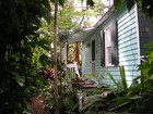 Picture for song 'Born on The Bayou' by artist 'Bassman 76'