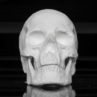 Picture for song 'Pure Cocain sh** - Prod By @RaphaelRJ2' by artist 'BeatsHowUWantEm'