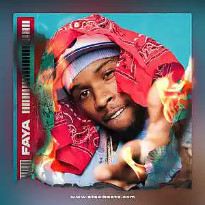 Picture for song 'FAYA 95 BPM' by artist 'Beats on SteelBeatz.com'