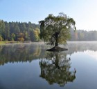 Picture for song 'Transit' by artist 'beppeverge'