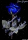 Picture for song 'So In Love' by artist 'Best Of Chicano Rap'