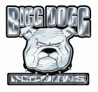 Picture for song 'buyin tha bar' by artist 'Bigg Dogg Records'