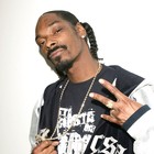 Picture for song 'Got A Feelin' by artist 'BizzyBoyBeatz'