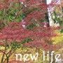 Picture for song 'New Life' by artist 'Black Rose Eden'