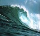 Picture for song 'Catchin A Wave' by artist 'Blue Sea Turtles'