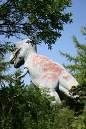 Picture for song 'Old Dinosaurs' by artist 'Blunty'