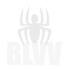 Picture for song 'Blinded' by artist 'BLVV'