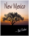 Picture for song 'New Mexico' by artist 'Bob Forbes'