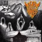 Picture for song 'NECROLORE' by artist 'BORN OF HADES'