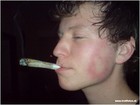 Picture for song '20-5_brandt_bralain' by artist 'Brandt'