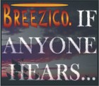 Picture for song 'If Anyone Hears...' by artist 'Breezico'