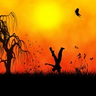 Picture for song 'no mind' by artist 'H.Y.M.'