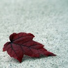 Picture for song 'The One' by artist 'BrkaBeats'