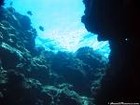 Picture for song 'underwater' by artist 'BROTHA BERRY'