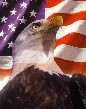 Picture for song 'Home of the Free & the Brave' by artist 'Buck Helton'