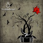 Picture for song 'Brake' by artist 'Buddahead'