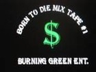 Picture for song 'Bang You Up' by artist 'Burning Green ENT'