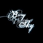 Picture for song 'What It Means To Be Alive (MIDI Demo)' by artist 'Bury The Sky'