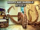 Picture for song 'HOOPS AND BARRELS' by artist 'BZ VOLT'