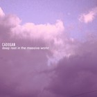 Picture for song 'Last World' by artist 'Cadogan'