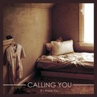 Picture for song 'Anger, Sex, and Love' by artist 'Calling You'