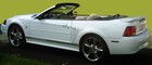 Picture for song 'Car Club Anthem' by artist 'CaLoge'