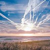 Picture for song 'Aviones' by artist 'Cambridge 2003'