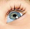 Picture for song 'Blue eyes girl' by artist 'Cambridge 2003'