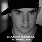 Picture for song 'Cameron Giddings - Surrender' by artist 'Cameron Giddings Trax'