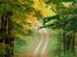Picture for song 'Goin' My Way' by artist 'Carl Hale(US)'