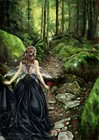 Picture for song 'Faery lights at Glendalough Forest' by artist 'Carlo D'Anna'