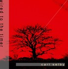 Picture for song 'w i r e d t o t h e t i m e r' by artist 'carl selby'