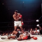 Picture for song '-CRAZY!!!- Glory of a Champion-Free DL.' by artist 'CaSino MuZik'
