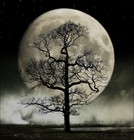 Picture for song 'Full Moon' by artist 'caviarclassics'