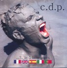 Picture for song 'Waste No Time' by artist 'cdp music'