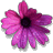 Picture for song 'Favorite Flower' by artist 'Chad Saylor'