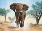 Picture for song 'Elephant Man' by artist 'Charrel D'