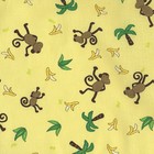 Picture for song 'Funky-Monkey Part 1' by artist 'Chris and Band'